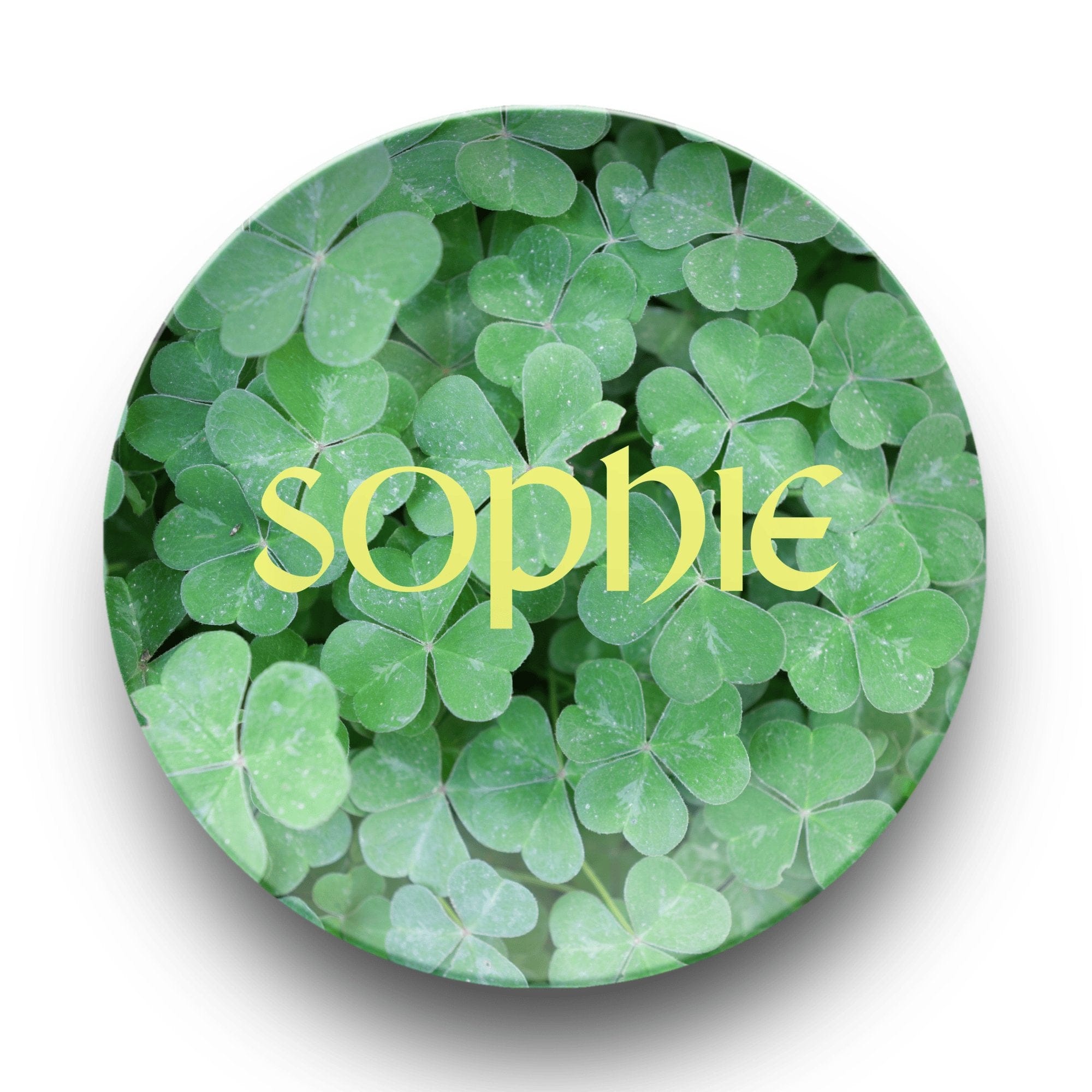 Clover Name Plate by Lil Plate Shop