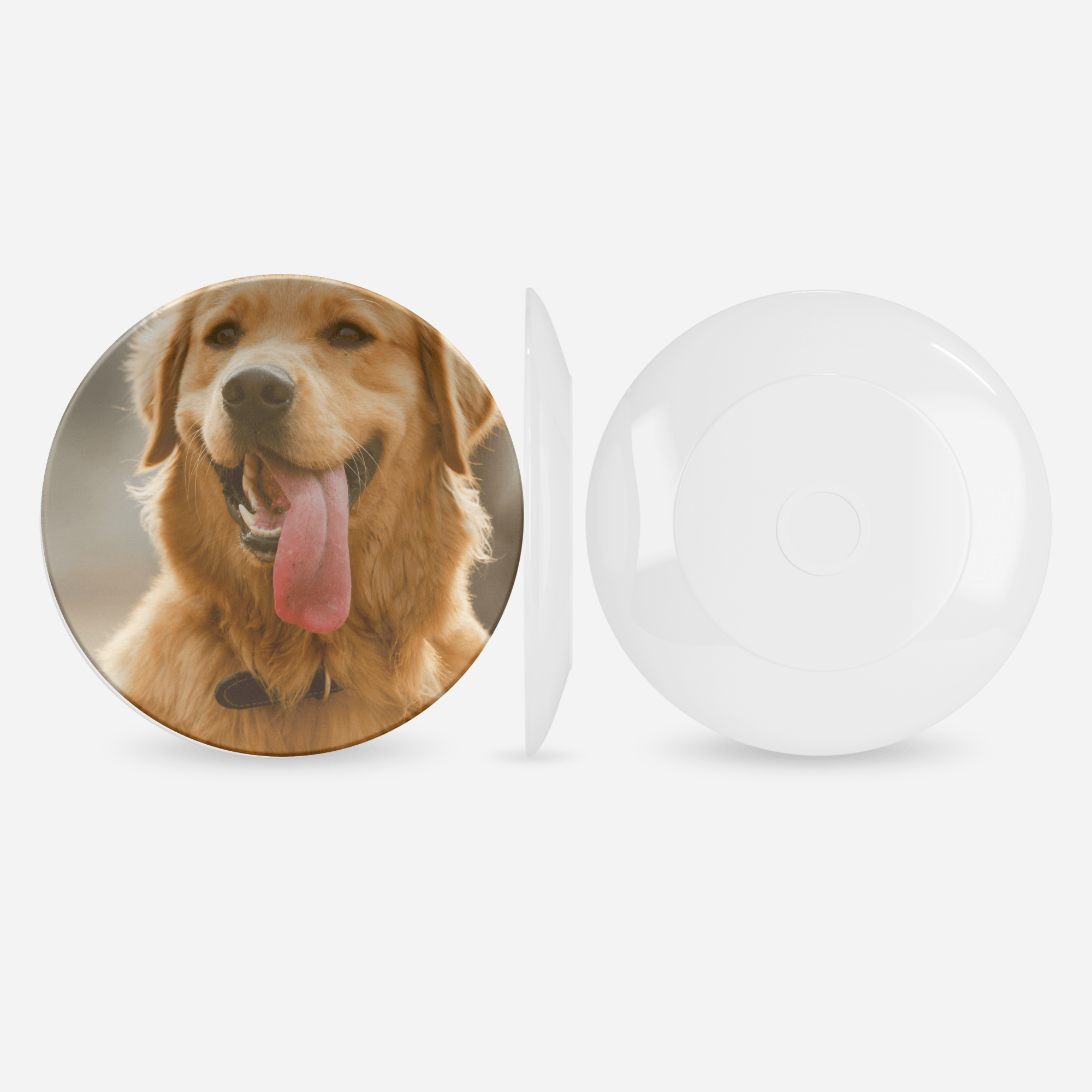 Personalized Pet Photo Plate by Lil Plate Shop