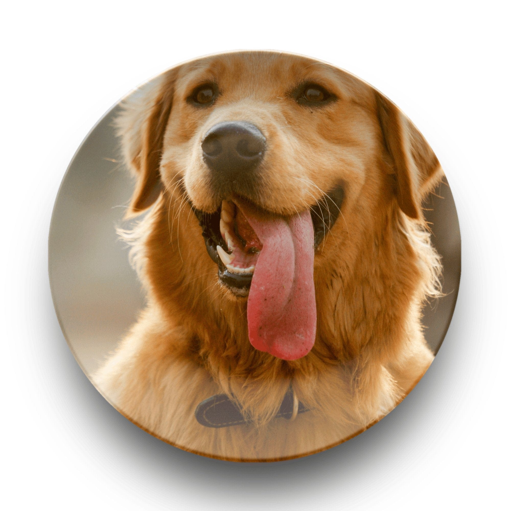 Personalized Pet Photo Plate by Lil Plate Shop